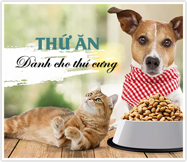 banner phải