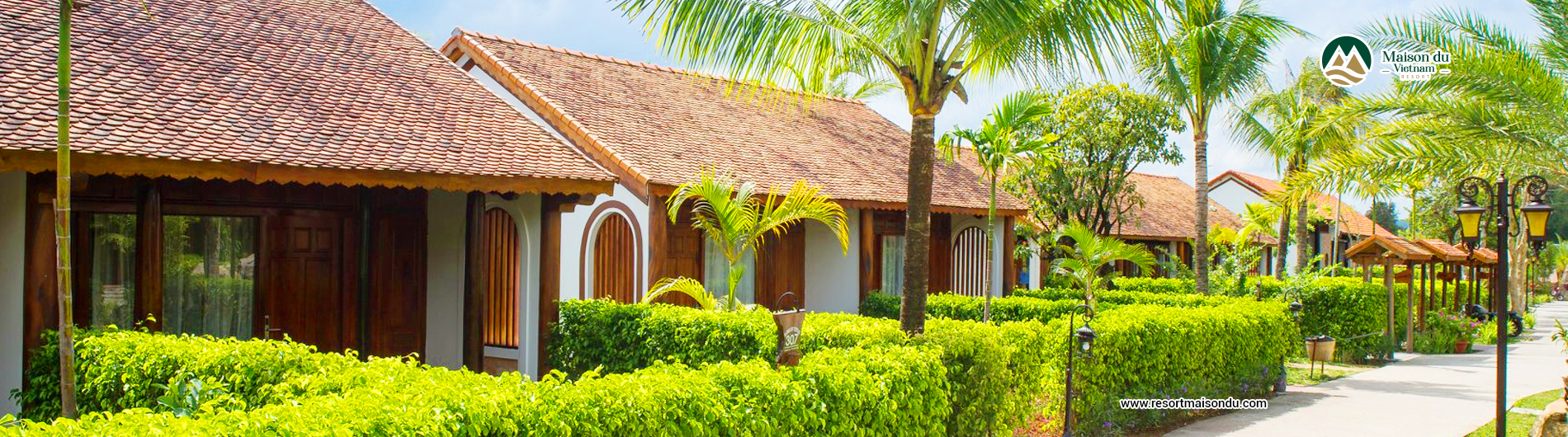 Banner 1