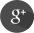 Google +