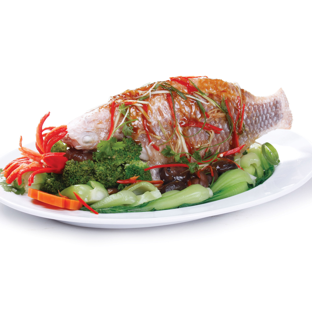 HẤP XÌ DẦU