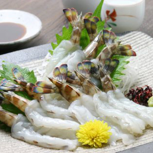 TÔM SÚ SASHIMI