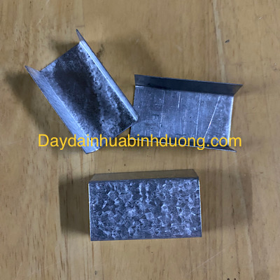 BỌ CHỮ U