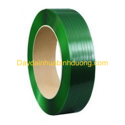 DÂY ĐAI NHỰA PET 19MM