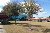 TRINITY CHRISTIAN ACADEMY - FLORIDA, USA