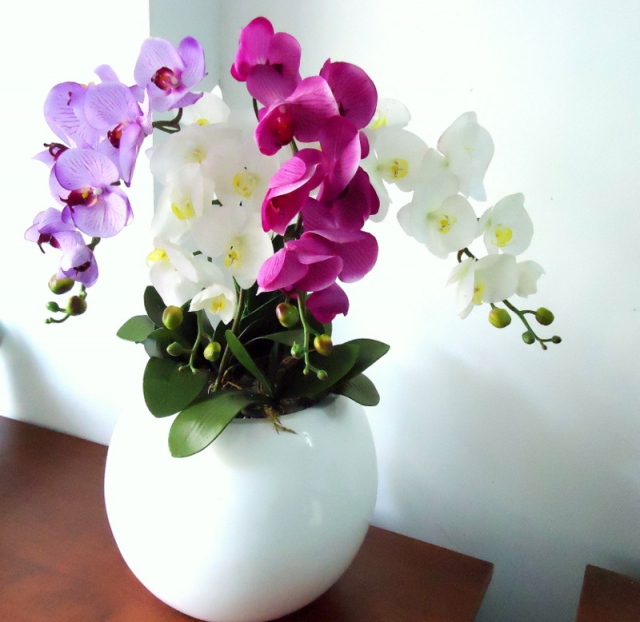 Hoa lan hồ điệp 4 cành