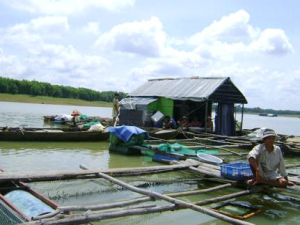 Nguyên tắc sử dụng thuốc, hóa chất trong nuôi trồng thủy sản