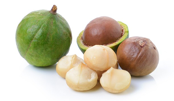 Trái mắc ca và công dụng của nó