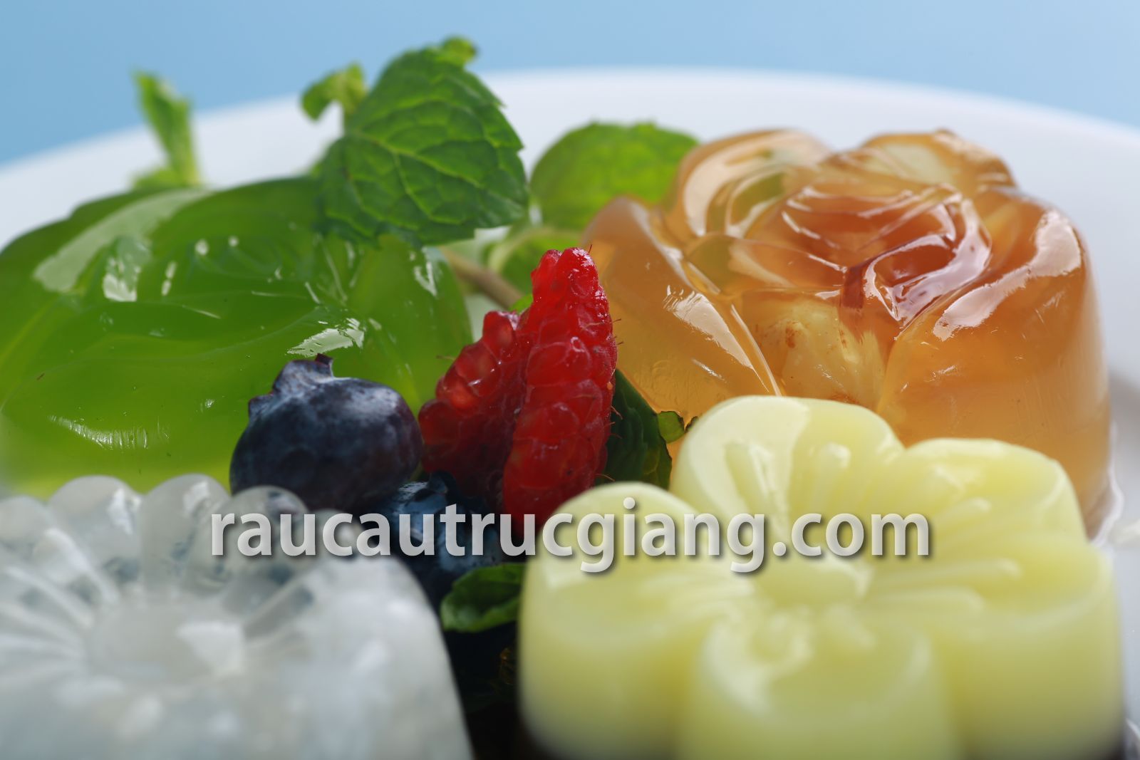 Rau câu bông hoa
