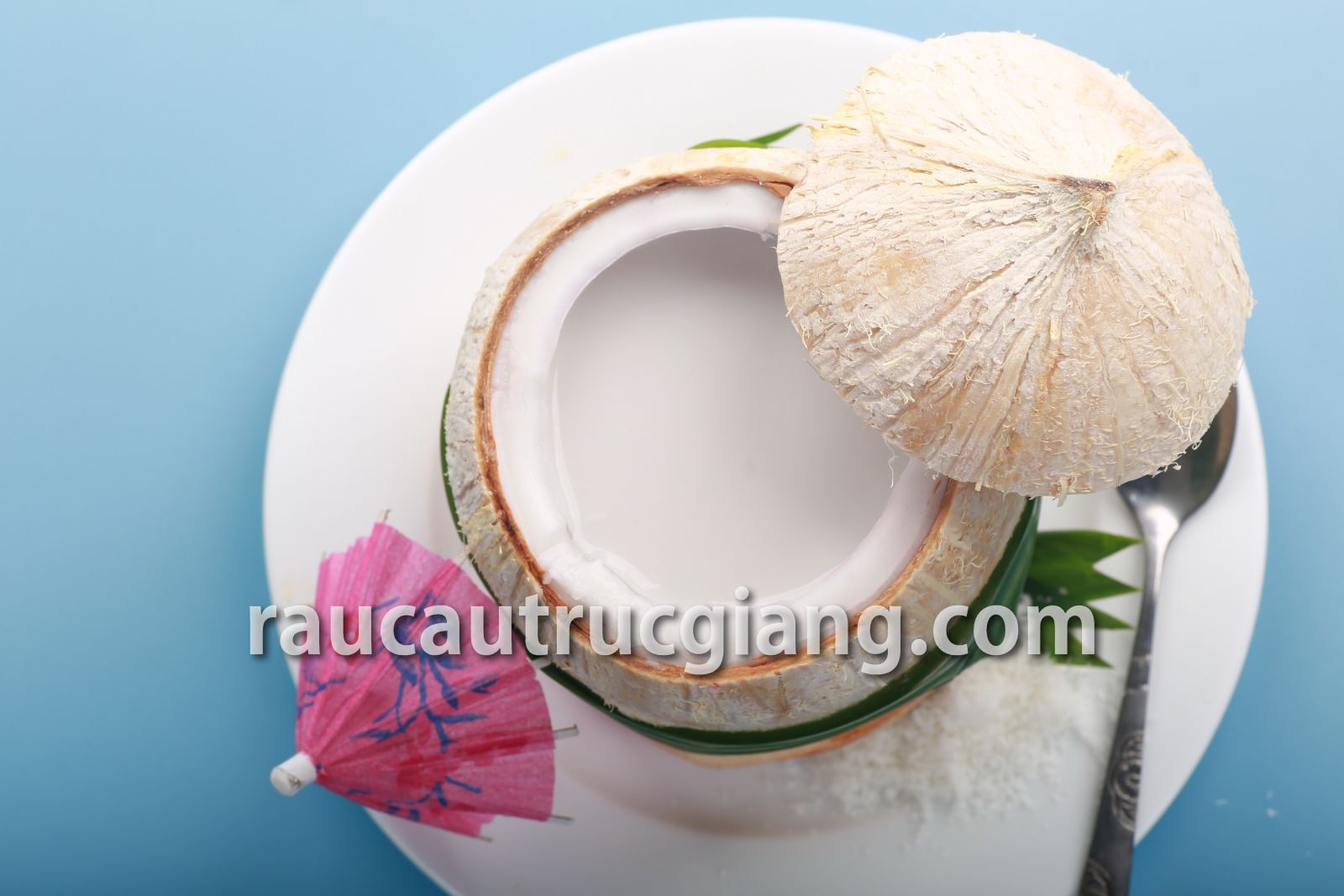 Rau câu trái dừa