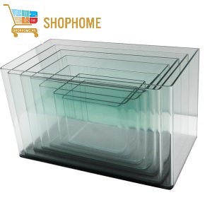 Nhận đặt dán hồ kính thủy sinh - Kính Siêu Trong